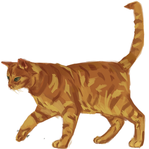 Decorative cat illustration.