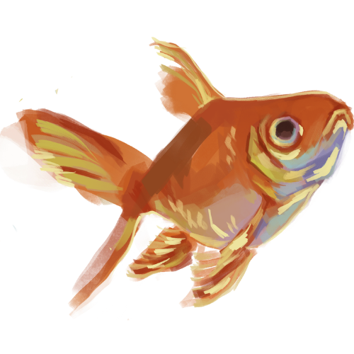 Decorative fish illustration.