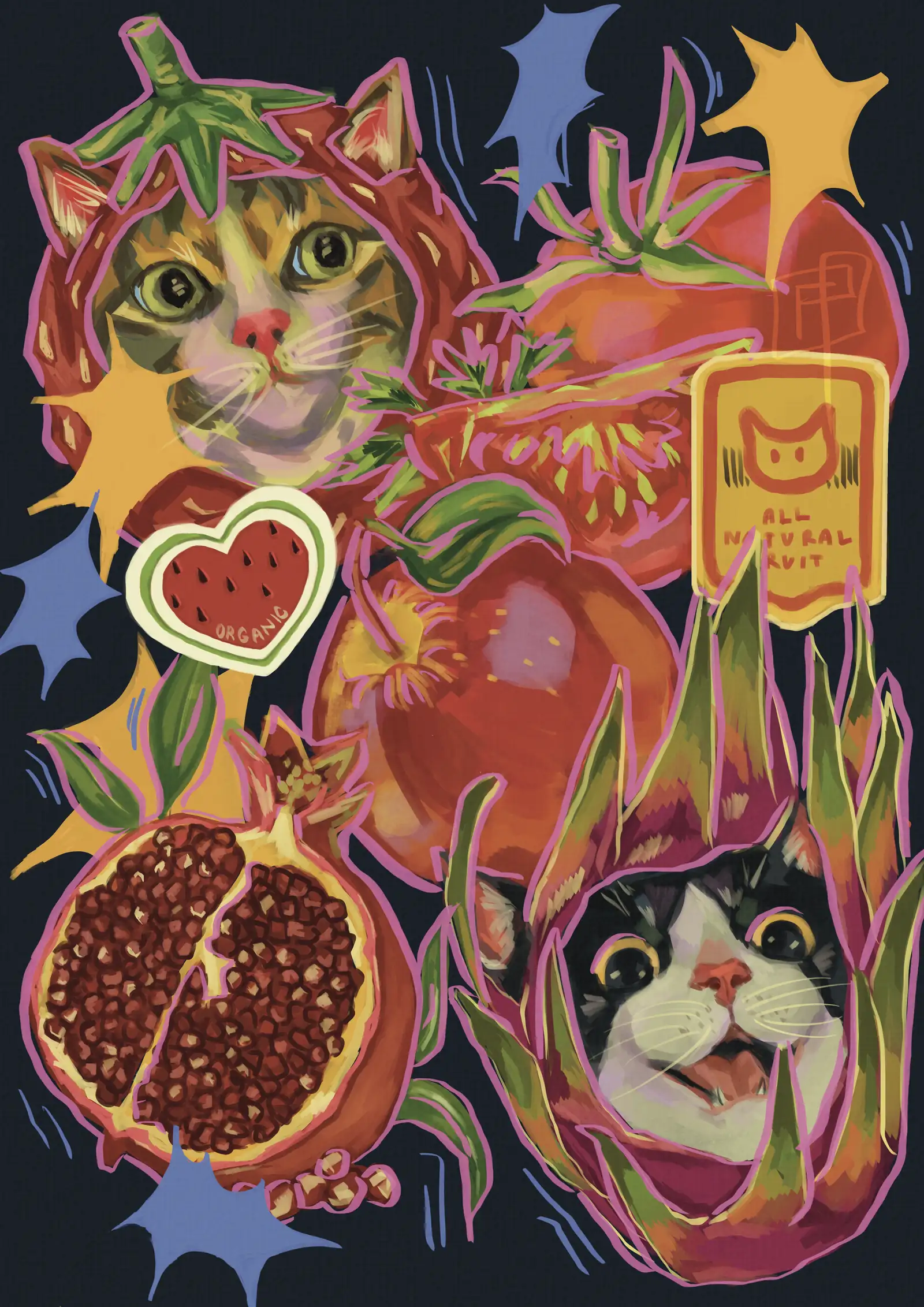 Colorful cat-and-fruit illustration with pomegranates, tomatoes, leafy plants, and starbursts.